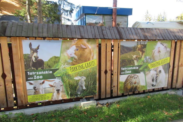 Tatrzańskie Mini ZOO zdjęcie