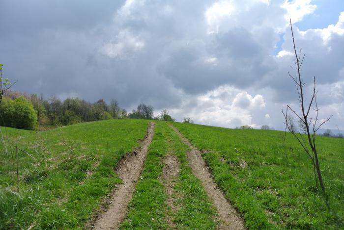 Bachledzki wierch zdjęcie