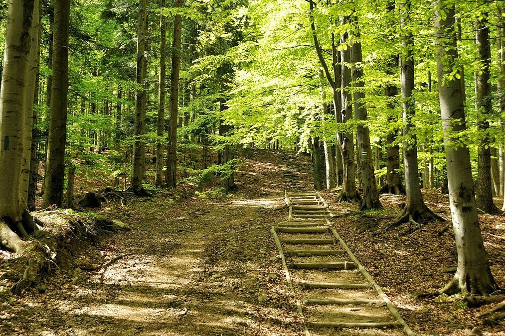 Babiogórski Park Narodowy zdjęcie