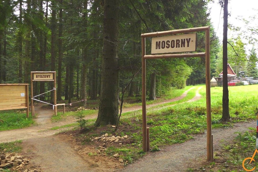 Babia Góra Trails zdjęcie