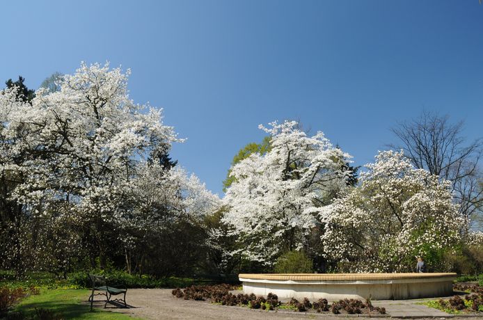 Ogród Botaniczny zdjęcie