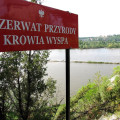 Rezerwat Przyrody Krowia Wyspa galeria 2