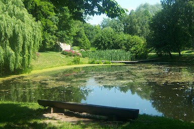 Ogród Botaniczny zdjęcie