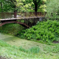 Ogród Botaniczny galeria 2