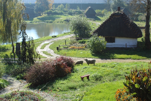 Muzeum Wsi Lubelskiej zdjęcie