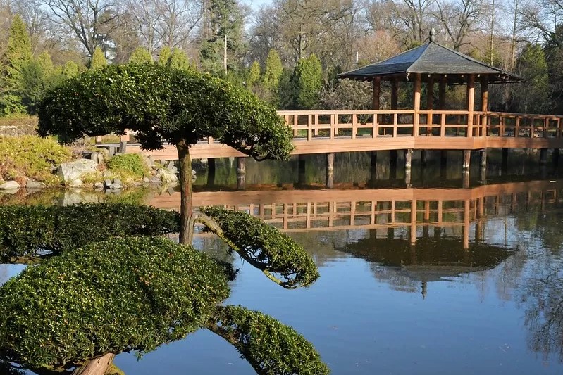 Park Szczytnicki z Ogrodem Japońskim zdjęcie