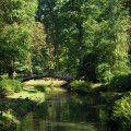 Park Szczytnicki z Ogrodem Japońskim galeria 3