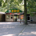 ZOO Poznań galeria 3