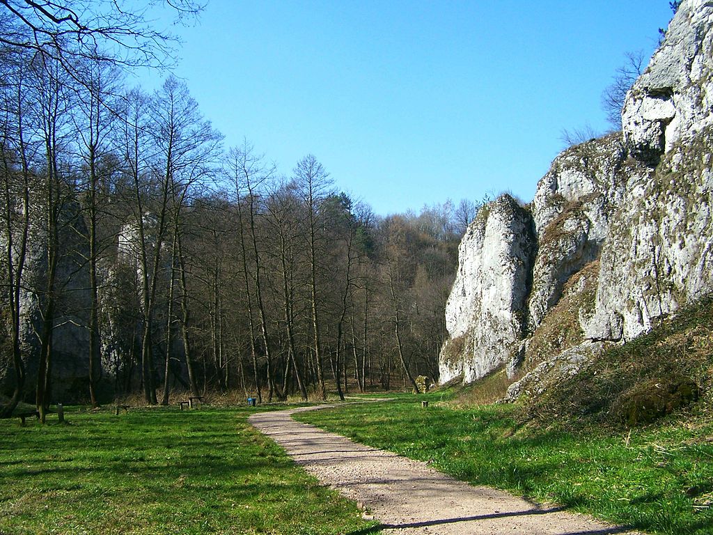 Dolina Mnikowska zdjęcie