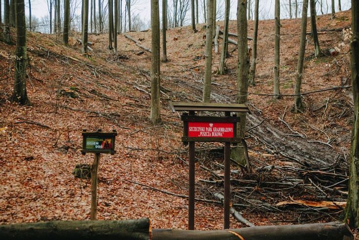 Szczeciński Park Krajobrazowy Puszcza Bukowa zdjęcie