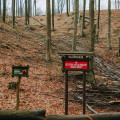 Szczeciński Park Krajobrazowy Puszcza Bukowa miniaturka