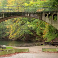 Szczeciński Park Krajobrazowy Puszcza Bukowa galeria 2