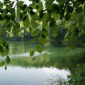 Szczeciński Park Krajobrazowy Puszcza Bukowa galeria 3