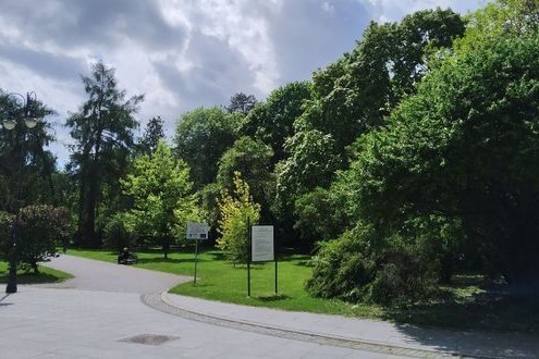 Park Stary im. ks. J. Poniatowskiego zdjęcie