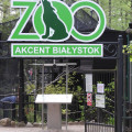 Akcent ZOO galeria 2