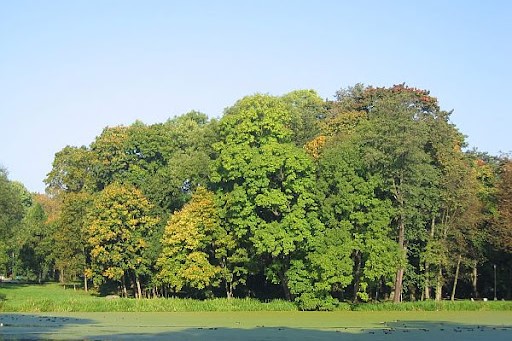 Park Lubomirskich zdjęcie