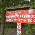 Rezerwat Las Zwierzyniecki galeria 3