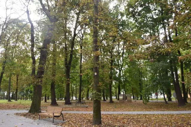 Park Miejski zdjęcie