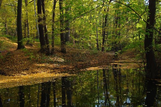 Park Poetów zdjęcie