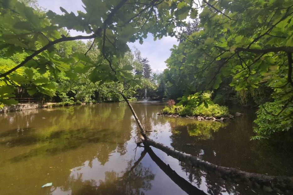 Park Szwedzki zdjęcie