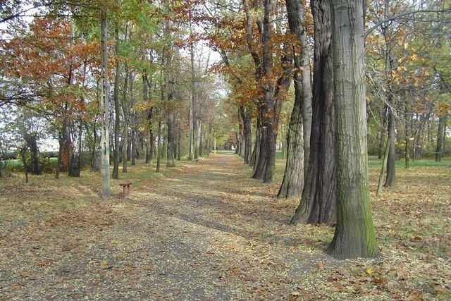 Park Bractwa Kurkowego dla dzieci