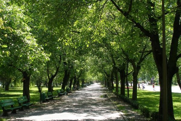 Park Północny dla dzieci