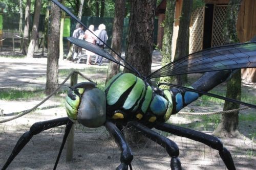 Park Przygód Piaski Szczygliczka zdjęcie