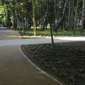 Park Północny miniaturka