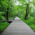 Park Północny galeria 2