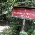 Rezerwat przyrody Mójka miniaturka