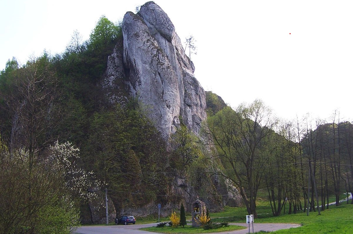 Rezerwat przyrody Zimny Dół zdjęcie