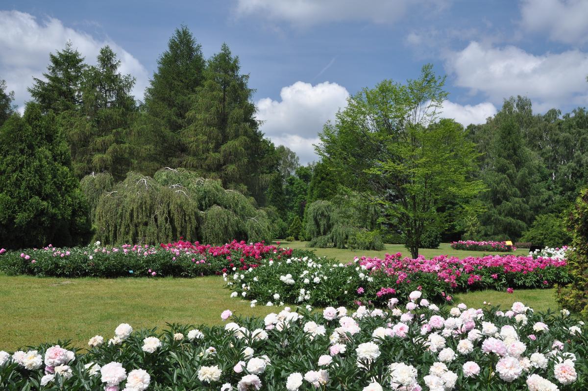 Ogród Botaniczny zdjęcie