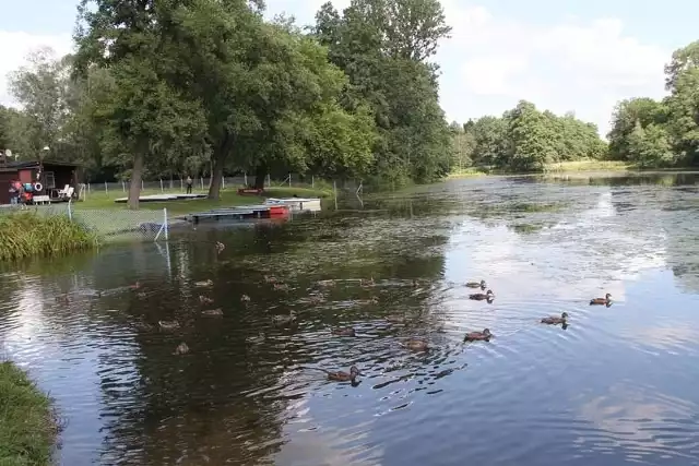 Park na Młynku zdjęcie