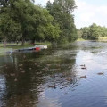 Park na Młynku miniaturka