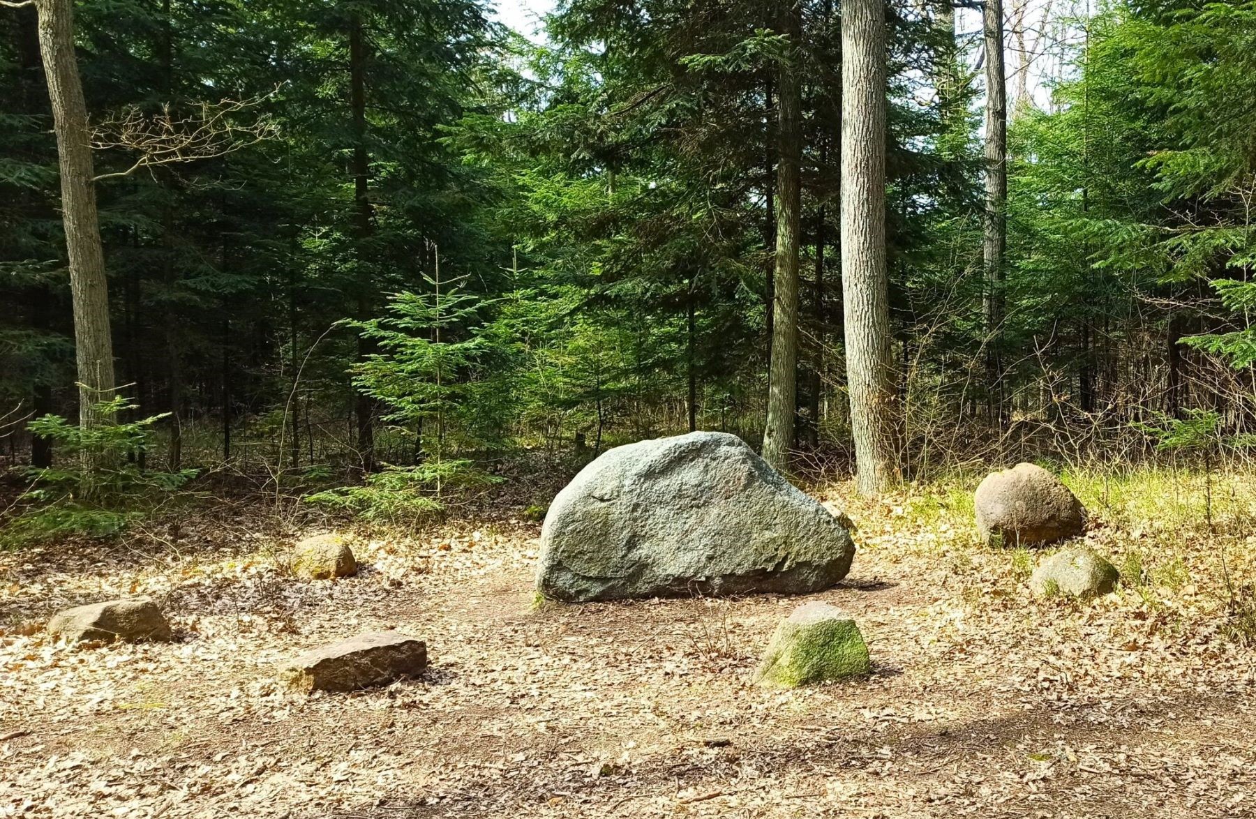 Tuszyński Stonehenge zdjęcie