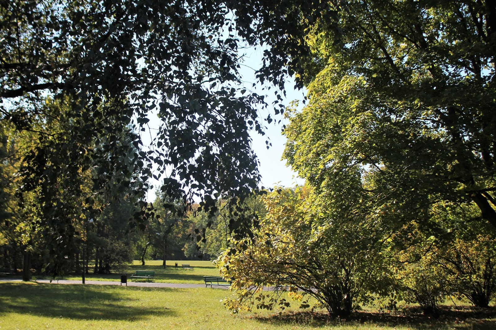 Park Baden-Powella zdjęcie