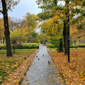 Park im. Stanisława Staszica galeria 2