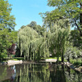 Park im. Stanisława Staszica galeria 3