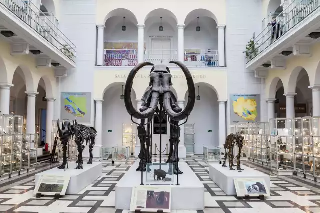 Muzeum Geologiczne zdjęcie