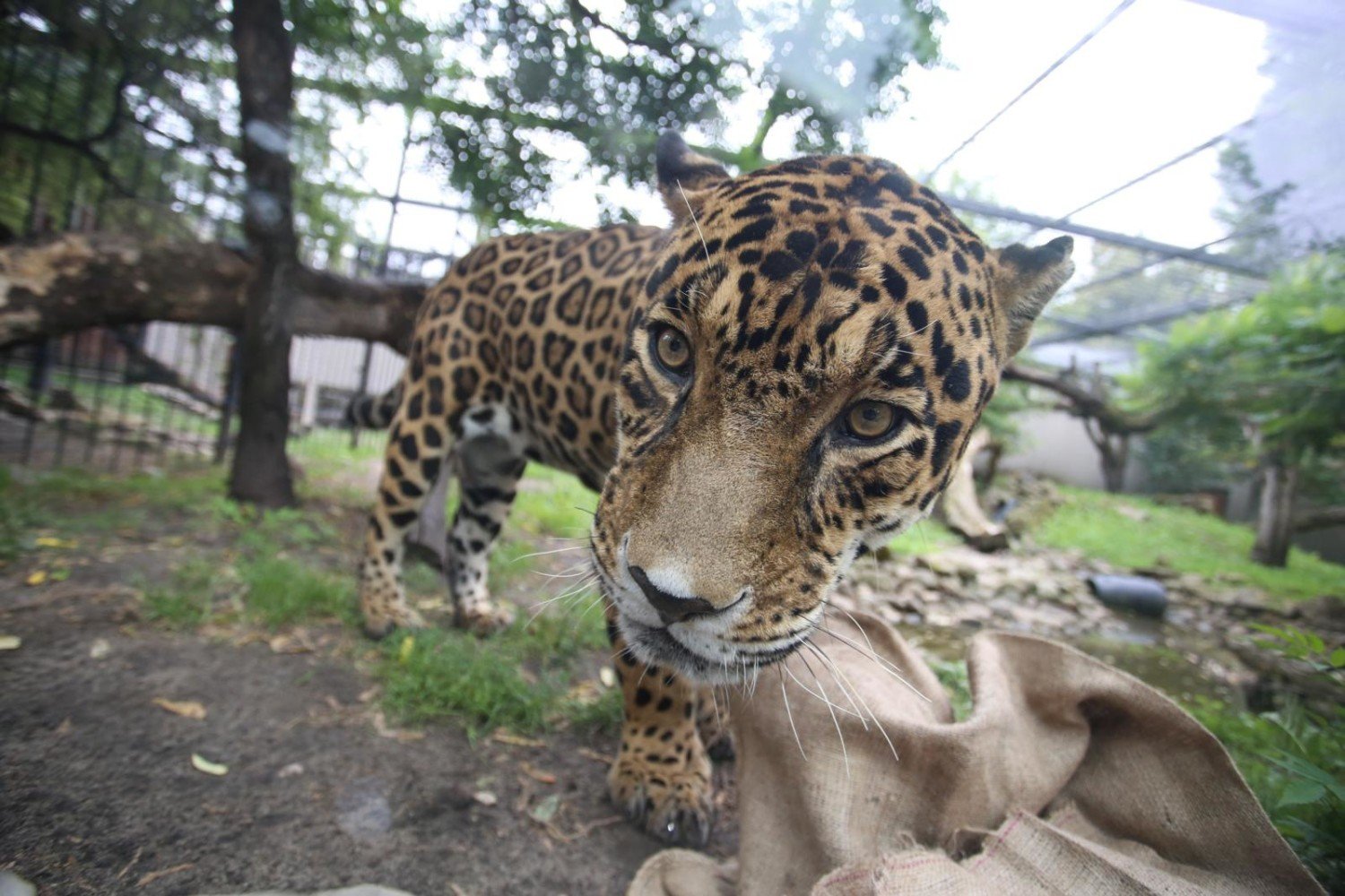 Warszawskie ZOO zdjęcie