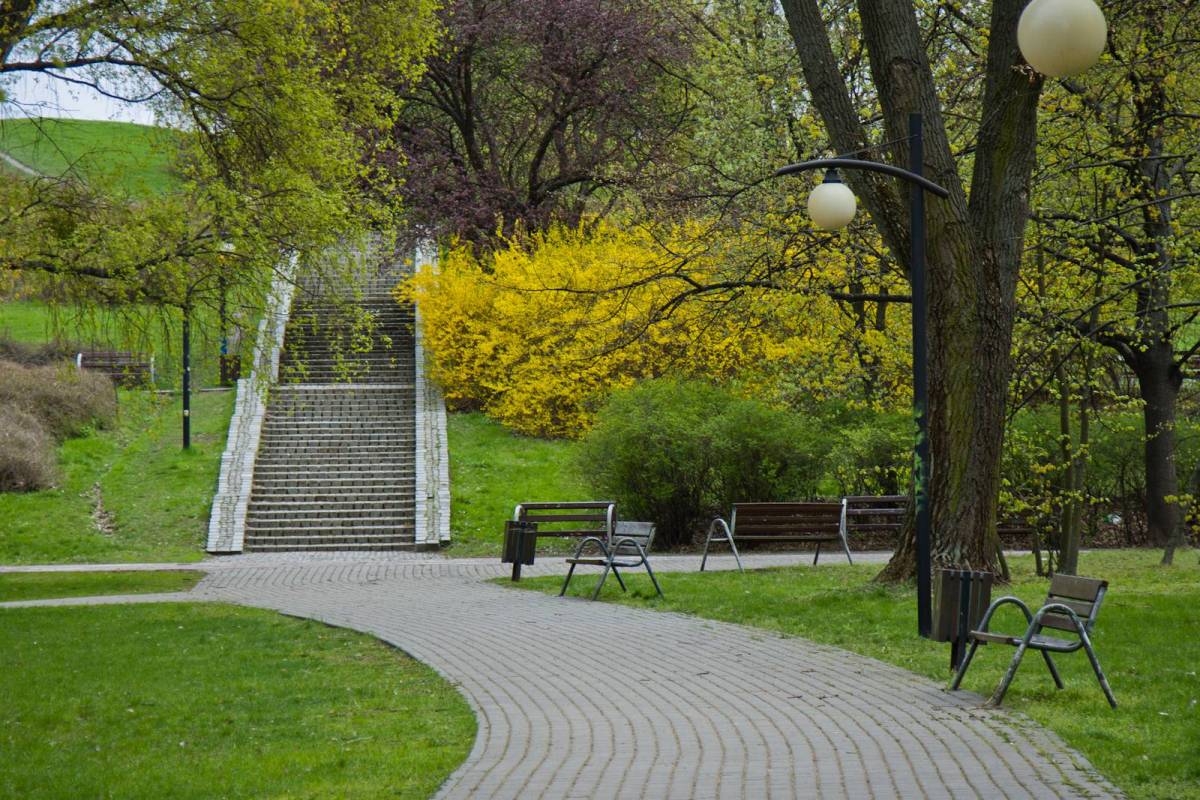 Park Moczydło zdjęcie