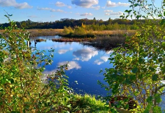 Ekopark wschodni zdjęcie