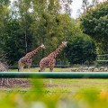 ZOO Gdańsk galeria 2