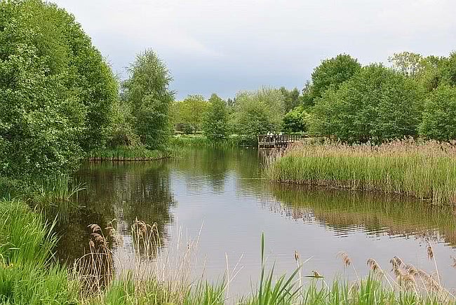 Park Prezydenta Ronalda Reagana zdjęcie